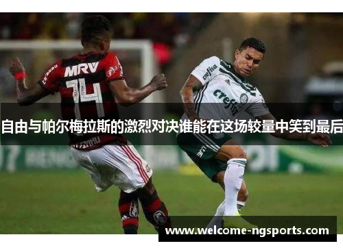 自由与帕尔梅拉斯的激烈对决谁能在这场较量中笑到最后