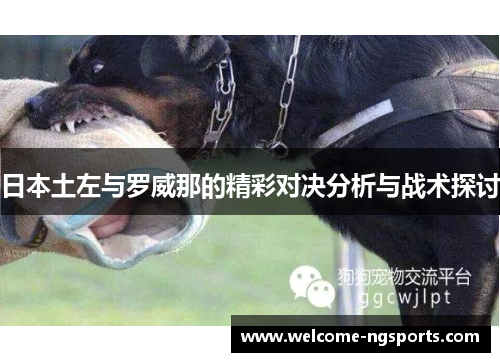 日本土左与罗威那的精彩对决分析与战术探讨